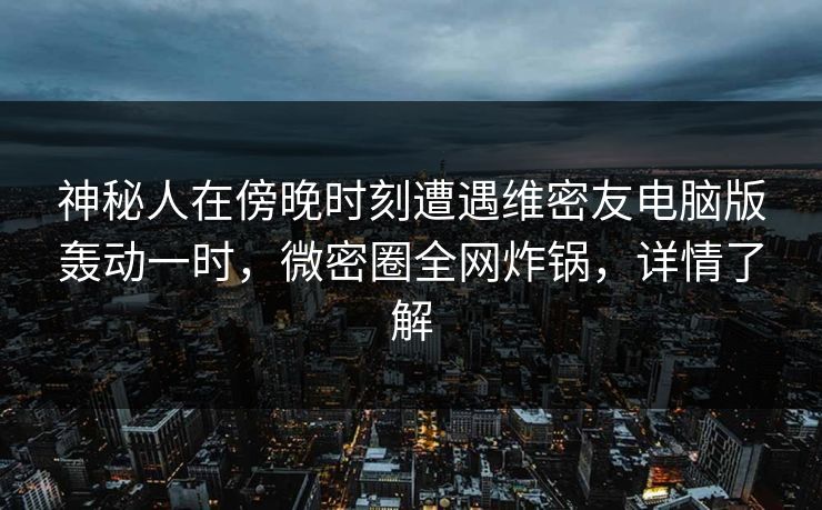 神秘人在傍晚时刻遭遇维密友电脑版轰动一时，微密圈全网炸锅，详情了解