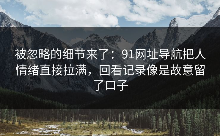 被忽略的细节来了：91网址导航把人情绪直接拉满，回看记录像是故意留了口子