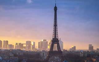 本周圈内人热搜第一！竟因秘闻，蘑菇影视在线观看回应：评论区炸裂