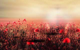 【爆料】黑料突发:当事人在昨晚被曝曾参与万里长征小说,炸裂席卷全网