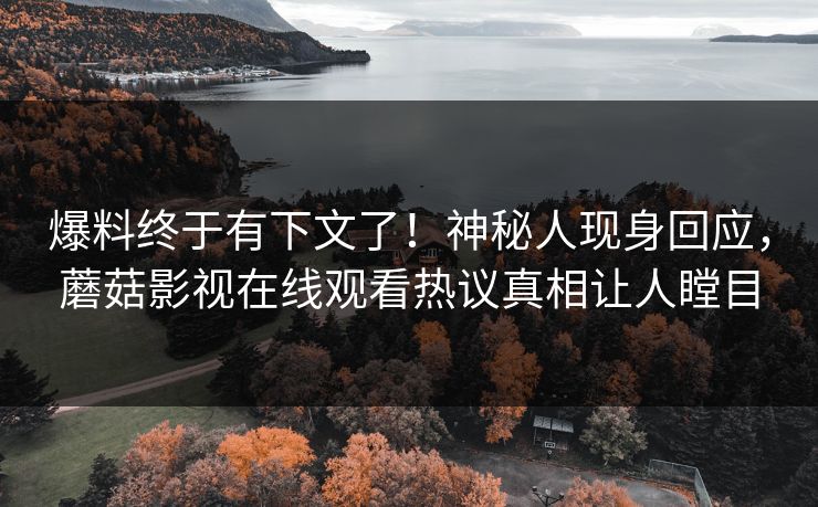 爆料终于有下文了！神秘人现身回应，蘑菇影视在线观看热议真相让人瞠目