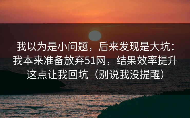 我以为是小问题，后来发现是大坑：我本来准备放弃51网，结果效率提升这点让我回坑（别说我没提醒）